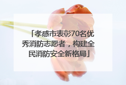 孝感市表彰70名优秀消防志愿者，构建全民消防安全新格局